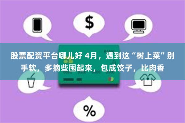 股票配资平台哪儿好 4月，遇到这“树上菜”别手软，多摘些囤起来，包成饺子，比肉香