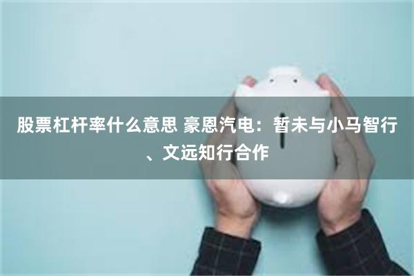 股票杠杆率什么意思 豪恩汽电：暂未与小马智行、文远知行合作