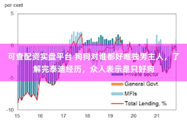 可查配资实盘平台 狗狗对谁都好唯独男主人，了解完泰迪经历，众人表示是只好狗