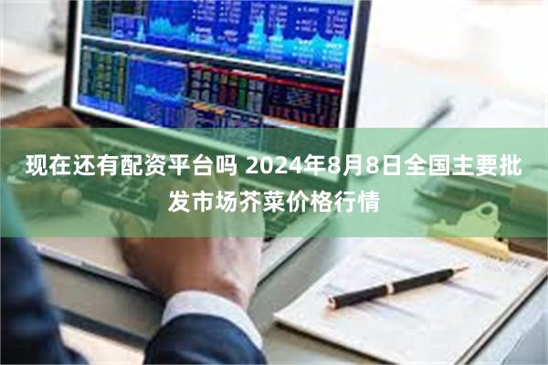 现在还有配资平台吗 2024年8月8日全国主要批发市场芥菜价格行情