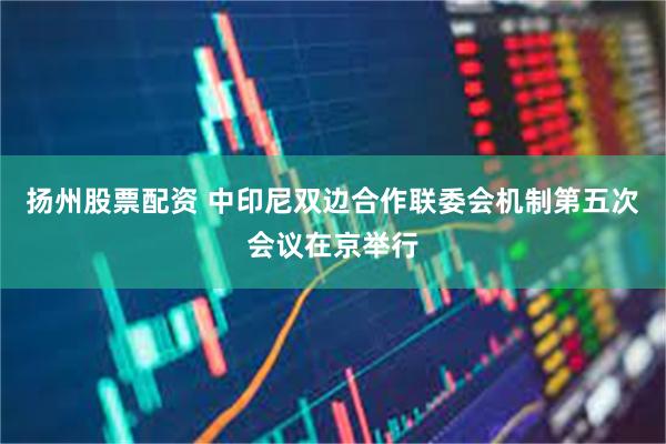 扬州股票配资 中印尼双边合作联委会机制第五次会议在京举行