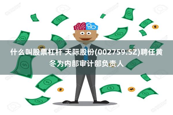 什么叫股票杠杆 天际股份(002759.SZ)聘任黄冬为内部审计部负责人