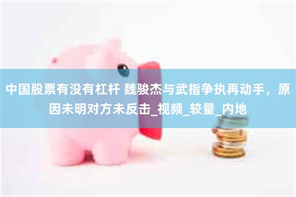 中国股票有没有杠杆 魏骏杰与武指争执再动手，原因未明对方未反击_视频_较量_内地