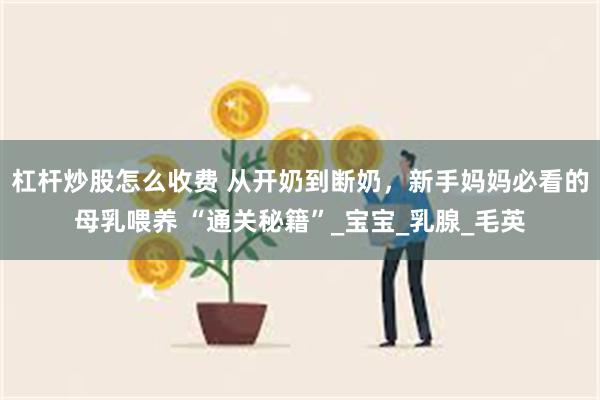 杠杆炒股怎么收费 从开奶到断奶，新手妈妈必看的母乳喂养 “通关秘籍”_宝宝_乳腺_毛英